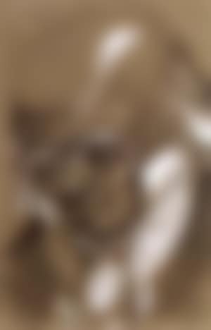 Pantheon Nadar 10 (preview)