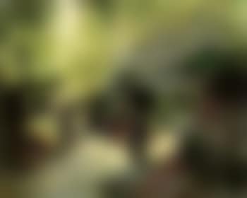 Marche aux fleurs (preview)