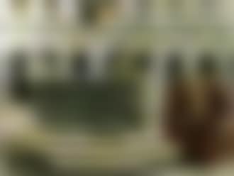 Interieur de palais Venitien avec notables (preview)