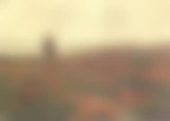 Woman with children in poppy field (preview)
