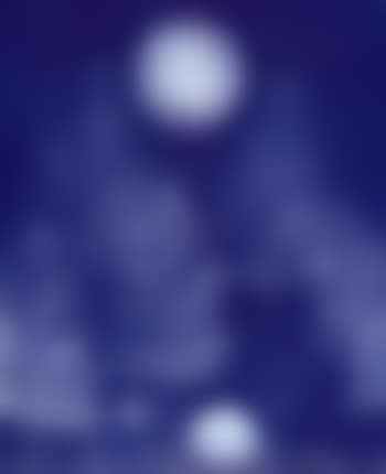 Foret (preview)