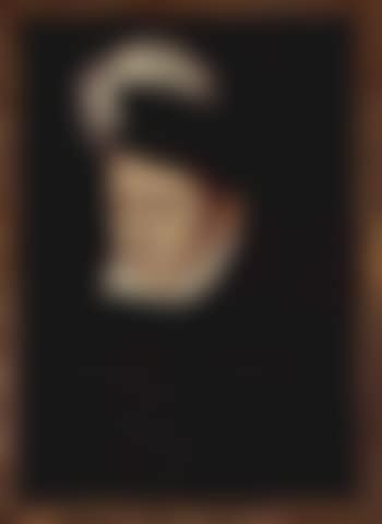 Portrait of Charles IX (preview)