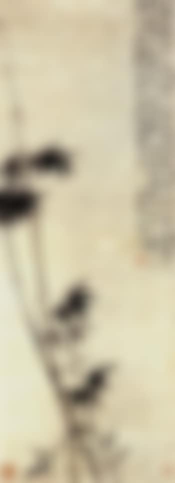 Bamboo (preview)