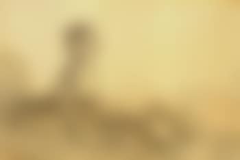 Madame Camus (preview)