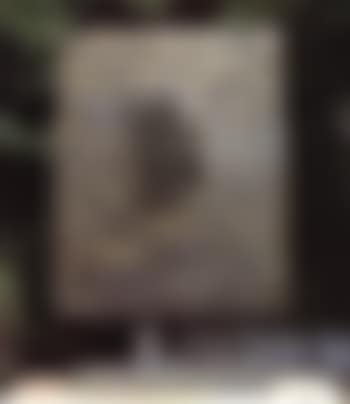 Grande plaque a ailettes (preview)