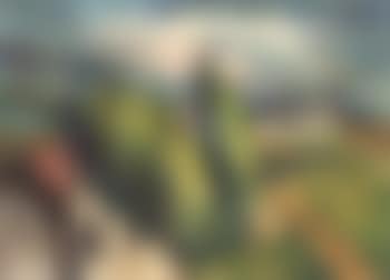 Vue de village aux toits rouges (preview)