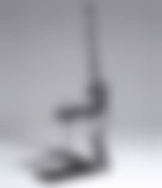 Venus a la girafe (preview)