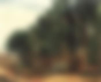 Paysage du Midi (preview)