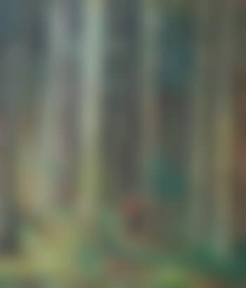 Forest interior (preview)
