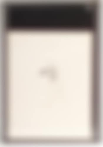 Untitled (preview)