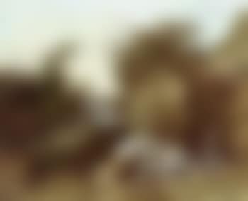 Landscape with figures (preview)