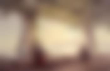 View from a vine covered pergola on a terrace overlooking King Bay (preview)