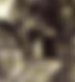Farmyard surrounded by trees (preview)