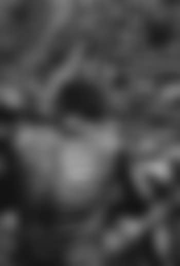 Gold miners, Sierra Palada, Brazil (preview)