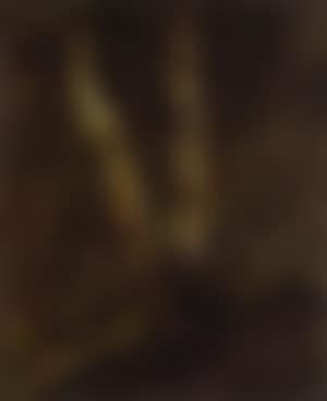 Birches on Lake Pepin (preview)