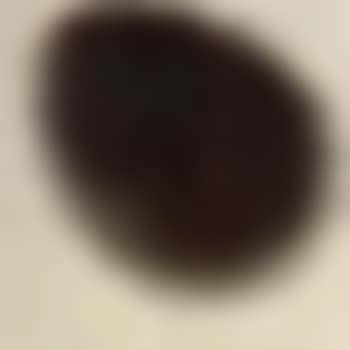 Igel (preview)