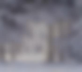 Winter wood on the Feldberg (preview)