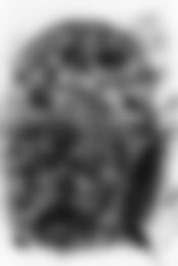 Hibou-arlequin (preview)