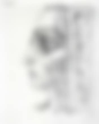 Profil en trois couleurs (preview)