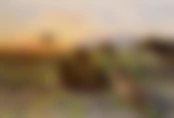 Landscape with fox and grouse (preview)