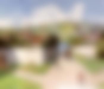 Town road with horse and cart (preview)