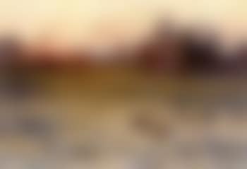 Blackcocks' displaying (preview)