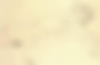 Reclining female nude (preview)