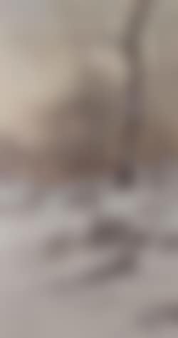 Winter landscape with figure (preview)