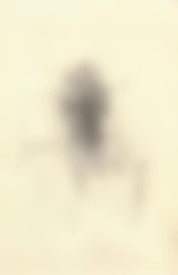 Self-portrait (preview)