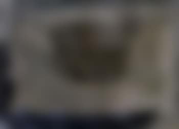 Grey form (preview)