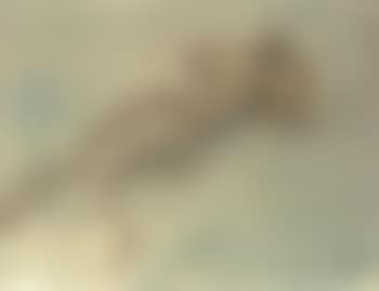Pleiade (preview)