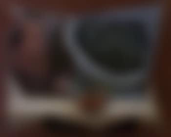 Raisin (preview)
