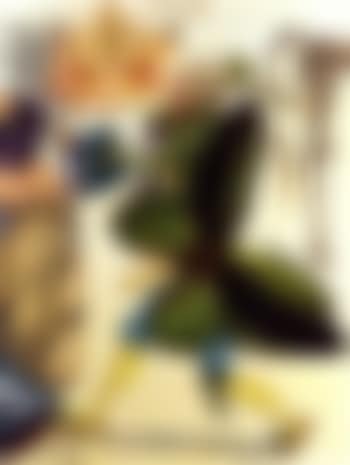 Meunier Lucas dans le costume de Corregidor (preview)
