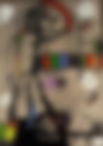Femme, oiseaux (preview)