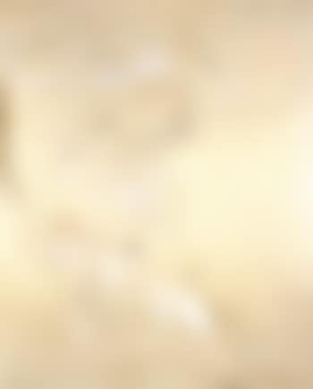 Io and Zeus (preview)