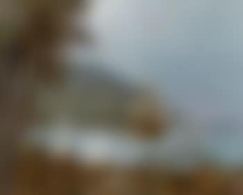 The pirates' cove (preview)