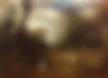 Le repos des bucherons (preview)