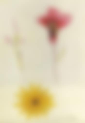 Flowers (preview)