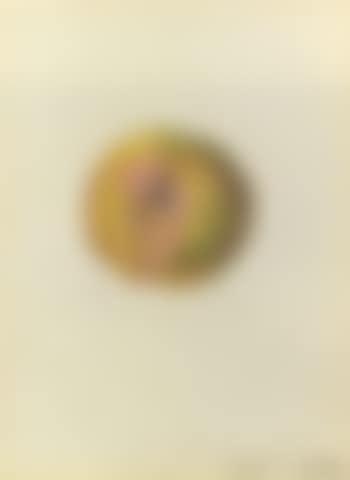 Peach (preview)