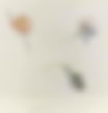 Three flowers (preview)