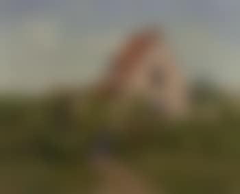 Wild garden (preview)