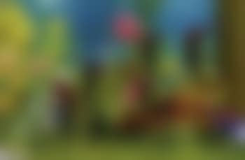Italian landscape (preview)