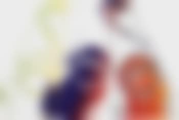 Perrier bottles (preview)