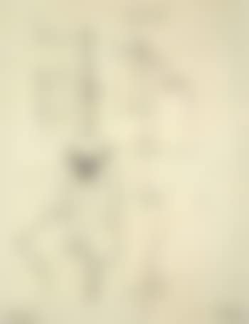 Baul Ball (preview)