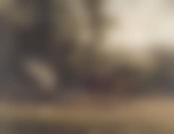Carriage with two horses. Study of two horses (preview)