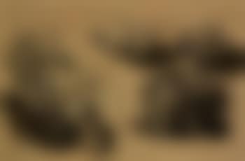 Four studies of a hedgehog (preview)