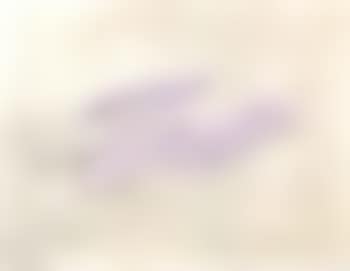 Composition (preview)