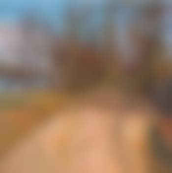 Autumn stroll, Barnes (preview)