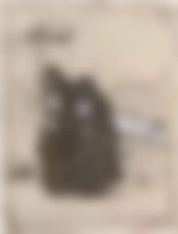 Two Belgian nuns with a goat (preview)