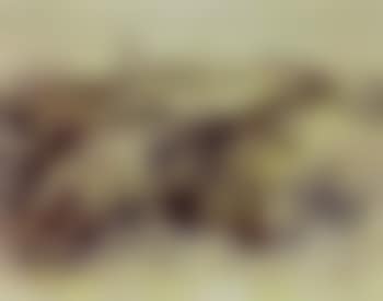 Wintry landscape as sleeping rodents. Hilly landscape as sleeping lion (preview)
